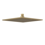 Cutout image of Villeroy & Boch Universal Brushed Gold 250mm Square Shower Head